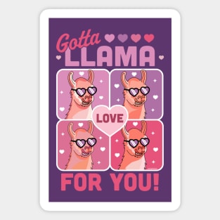 Gotta Llama Love For You Valentine's Day Llama Alpaca Funny Magnet